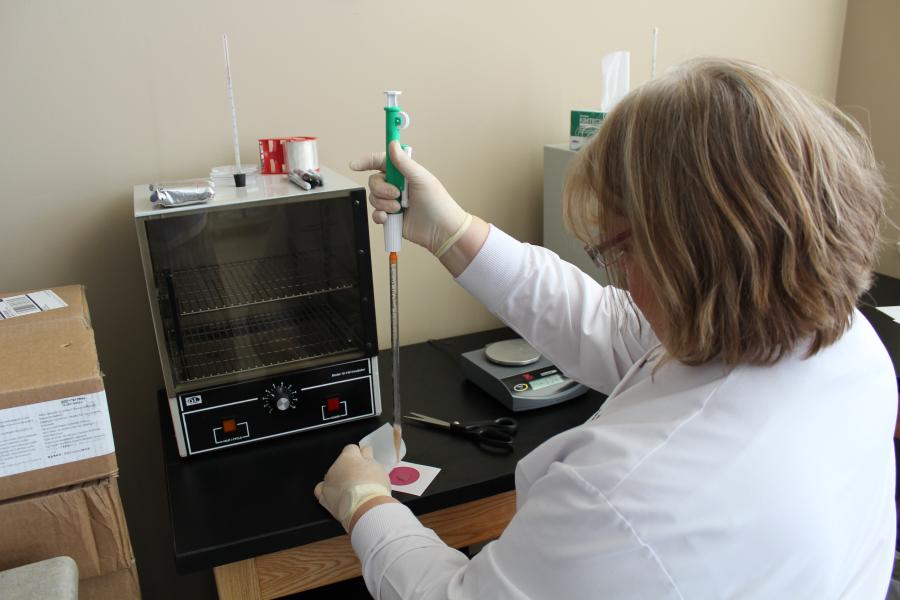 Staff member testing samples in the lab for food safety.