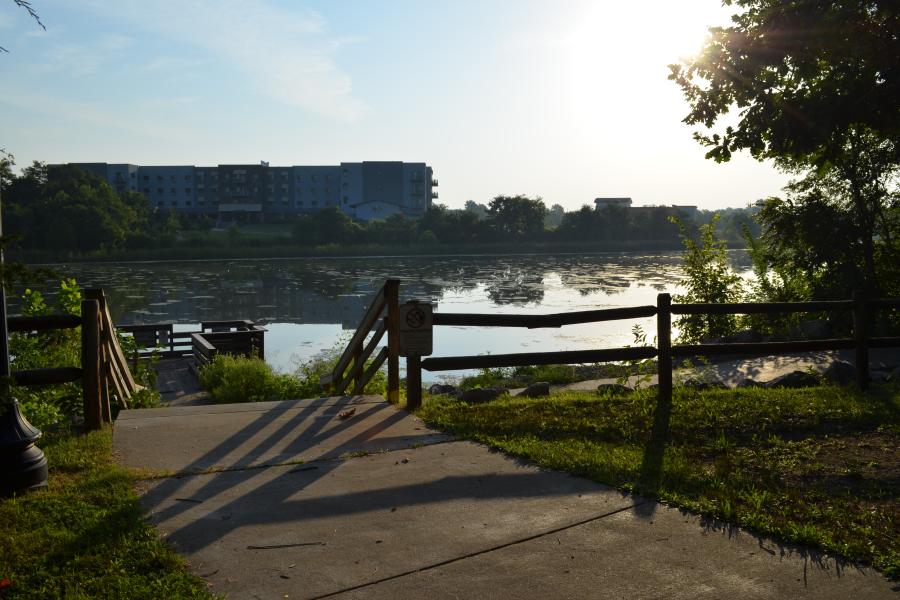 A sunny image of the path leading up to the fishing pier with the lake area and a hotel in the distance at Waterfall Park.
