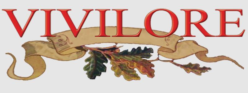 The Vivilore Logo