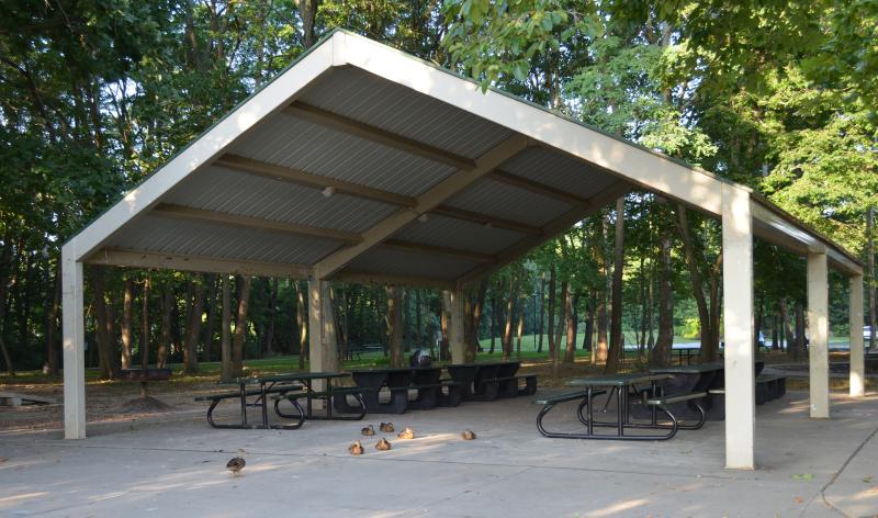 A closer view of the inside of the pavilion structure with picnic tables and geese sitting on the concrete pad at Waterfall Park surrounded by trees.