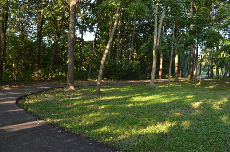 An image of the walking trail surrounded by trees at Waterfall Park.